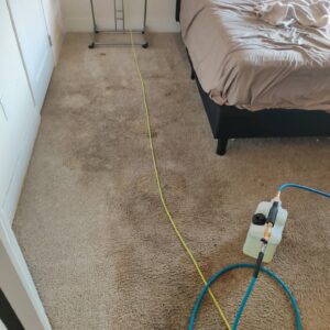 carpet cleaning las vegas